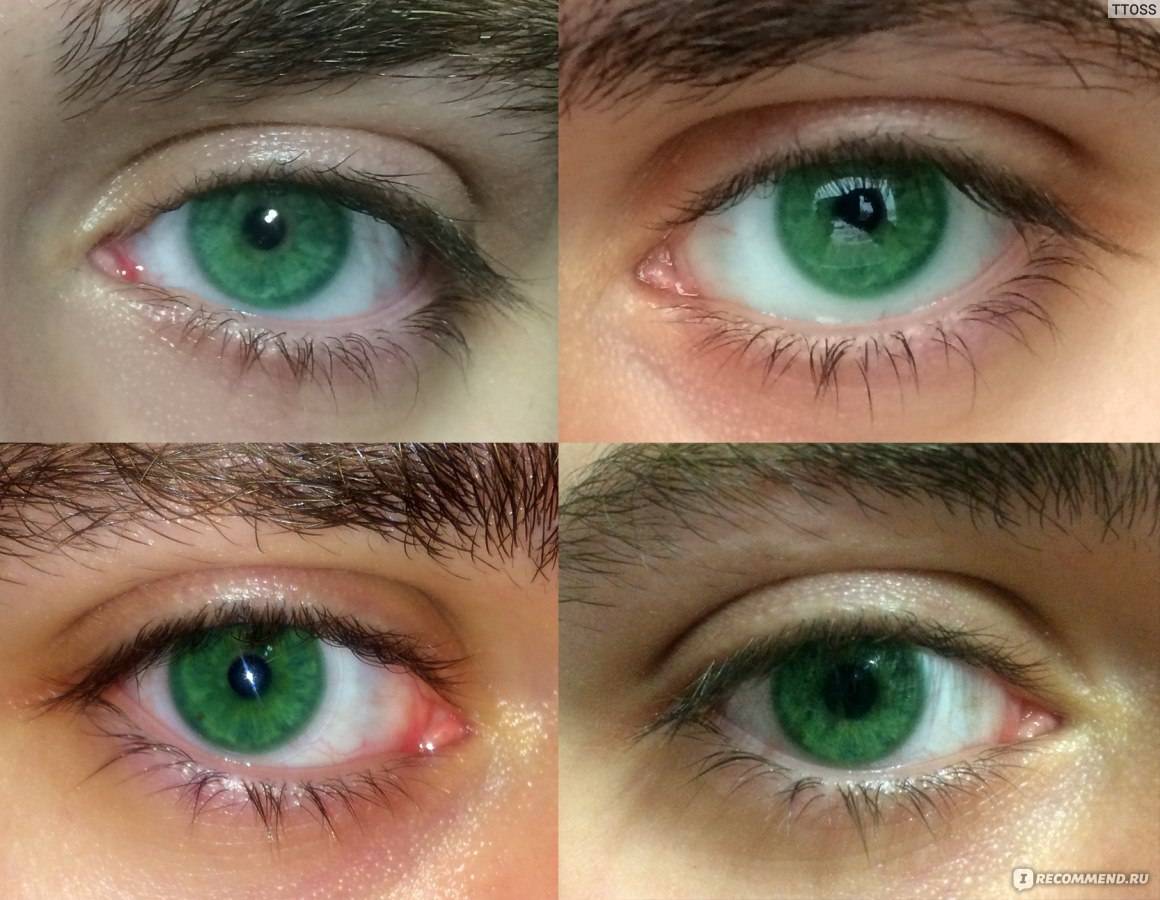 Почему глаза стали голубые. Линзы OKVISION Fusion Green 2. Линзы OKVISION Fusion Green 3. OKVISION Fusion Turquoise. OKVISION Fusion Nuance.
